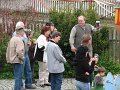 maibaum (58)